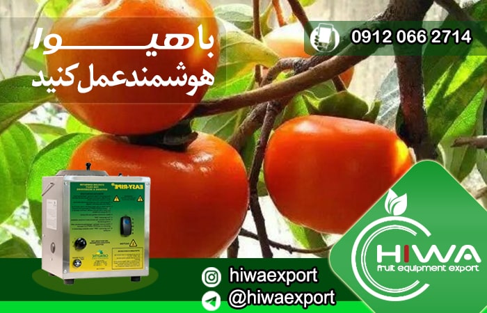 ارائه ی دستگاه اتیلن ساز به بازار فروش