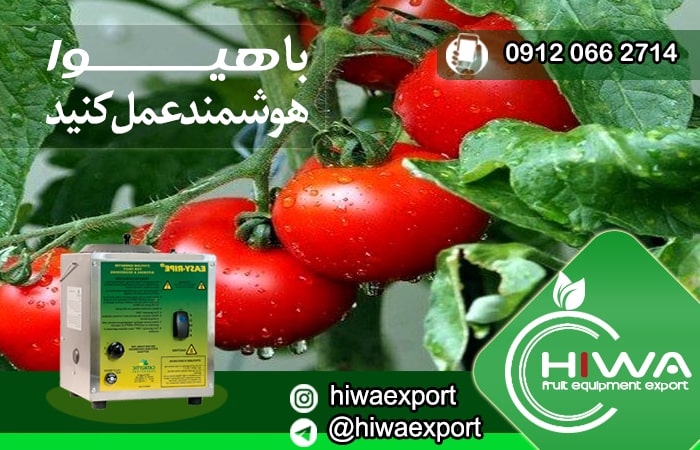 خرید انواع دستگاه رنگ آوری گوجه فرنگی