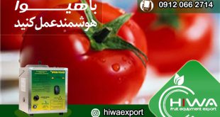 فروش ویژه دستگاه قرمز کردن گوجه