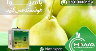 موثر ترین و قوی ترین راه برای رنگ آوری میوه